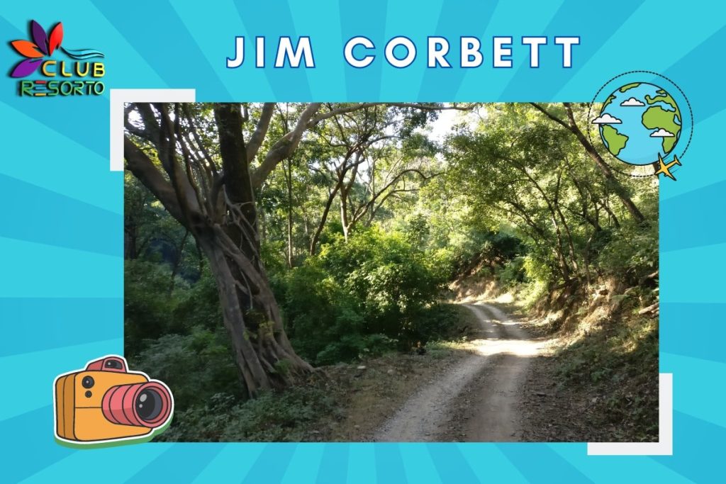 Club Resorto Reviews Places To Visit In Jim Corbett