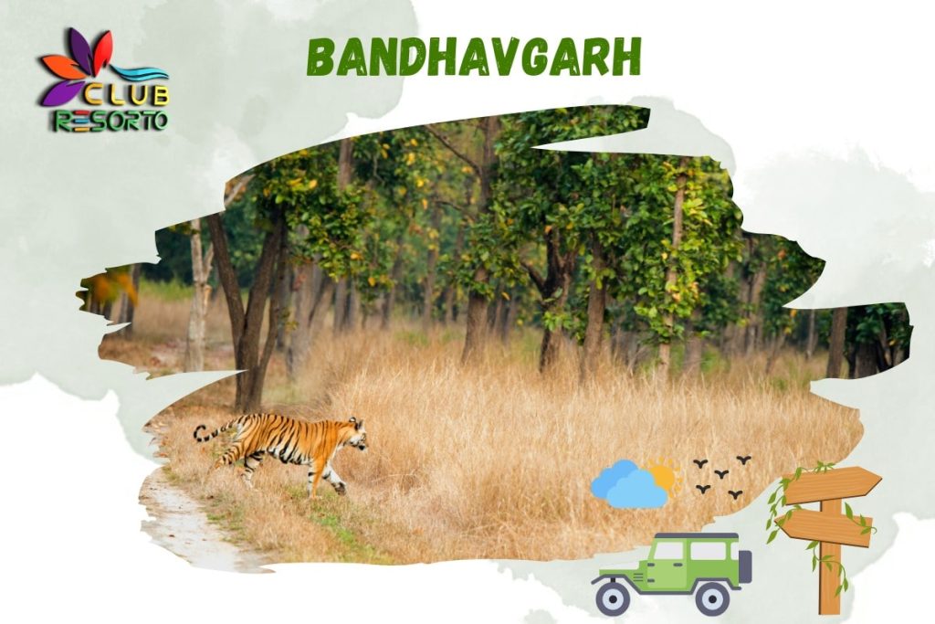 Club resorto Review places to visit in Bandhavgarh