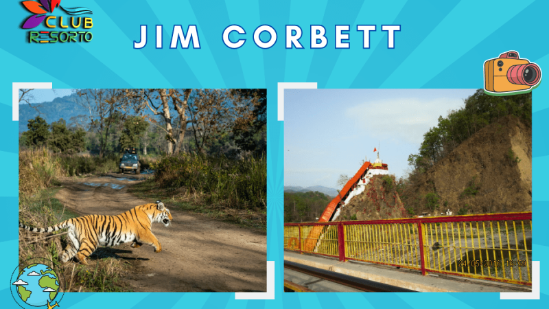 Club Resorto Reviews Jim Corbett as a Holiday Destination