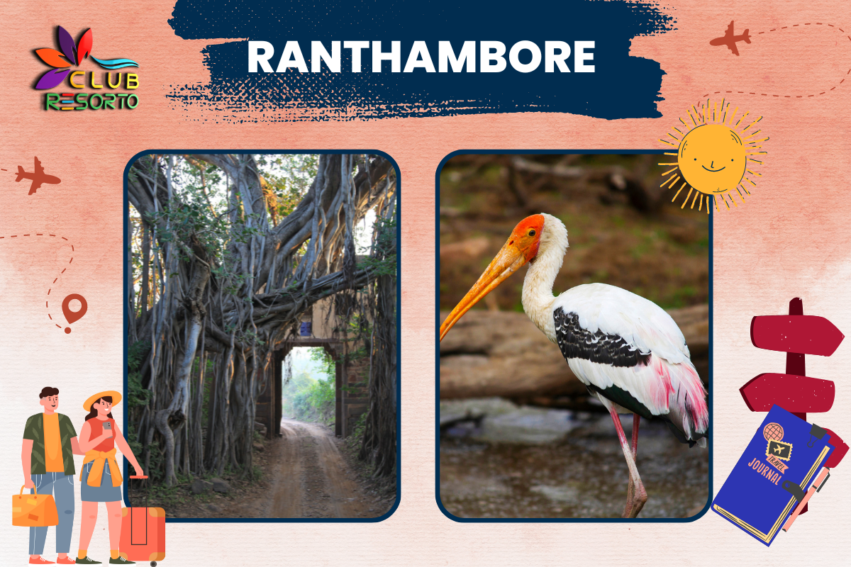 Club Resorto Reviews Ranthambore as a Holiday Destination