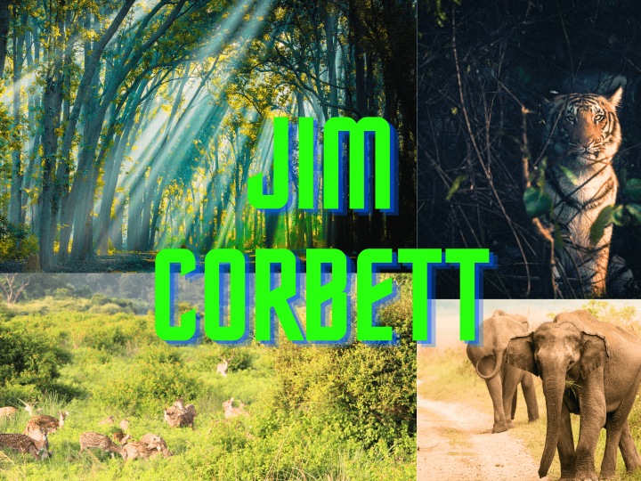 Escape to Serenity: Discover Jim Corbett’s Thrilling Escapes with Club Resorto!