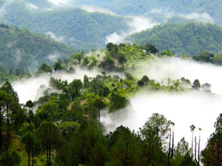 Escape to Serenity- Exploring Lansdowne, Uttarakhand