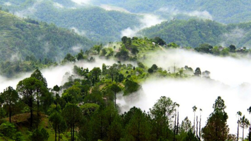 Escape to Serenity- Exploring Lansdowne, Uttarakhand