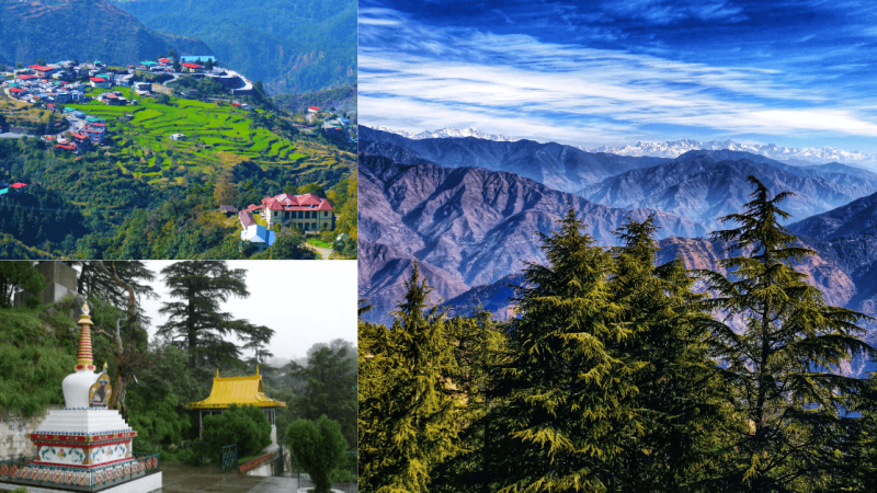 Experience the Magic of Mussoorie with Club Resorto: A Summer Haven for Tourists